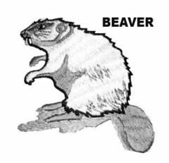 BEAVER