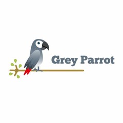 GREY PARROT