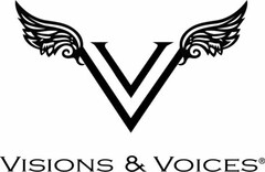 VV VISIONS & VOICES