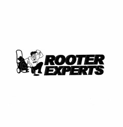 ROOTER EXPERTS