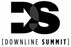 DS [DOWNLINE SUMMIT]