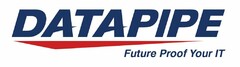 DATAPIPE FUTURE PROOF YOUR IT