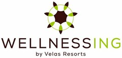 WELLNESSING BY VELAS RESORTS