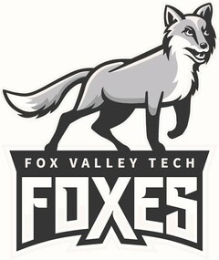 FOX VALLEY TECH FOXES