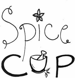 SPICE CUP