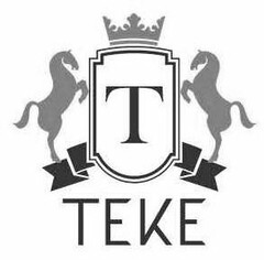 T TEKE