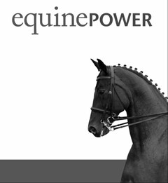 EQUINEPOWER