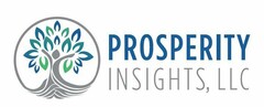 PROSPERITY INSIGHTS, LLC