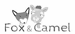 FOX & CAMEL