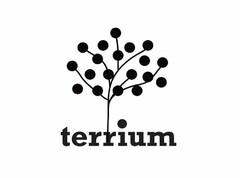 TERRIUM