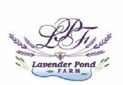 LAVENDER POND FARM