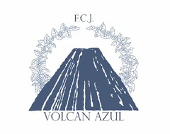 F.C.J. VOLCAN AZUL