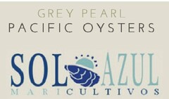 GREY PEARL PACIFIC OYSTERS SOL AZUL MARICULTIVOS