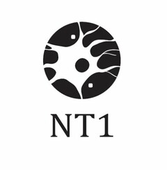 NT 1