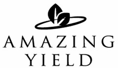 AMAZING YIELD