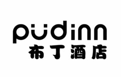 PUDINN