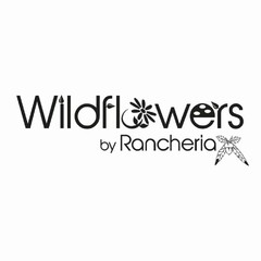 WILDFLOWERS BY RANCHERIA
