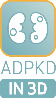 ADPKD IN 3D