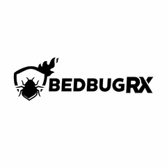 BED BUG RX