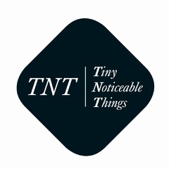 TNT | TINY NOTICEABLE THINGS