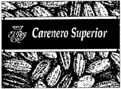 EL REY CARENERO SUPERIOR