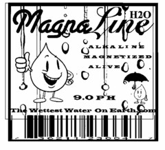 MAGNALINE H2O ALKALINE MAGNETIZED ALIVE 9.0 PH THE WETTEST WATER ON EARTH JUST DRINK IT!