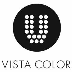 V VISTA COLOR