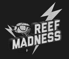 REEF MADNESS