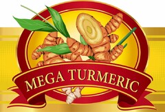 MEGA TURMERIC