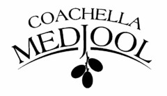 COACHELLA MEDJOOL