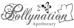 POLLYNATION APOTHECARY