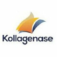 KOLLAGENASE