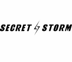 SECRET STORM