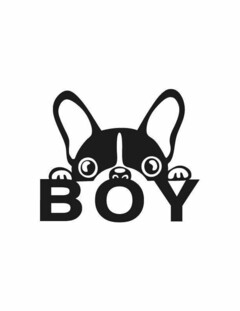 BOY