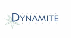 ERYNGIUM DYNAMITE SERIES