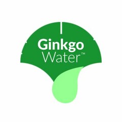 GINKGO WATER