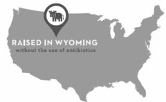 RAISED IN WYOMING WITHOUT THE USE OF ANTIBIOTICS