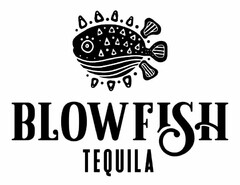 BLOWFISH TEQUILA