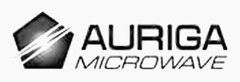 AURIGA MICROWAVE