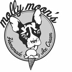 MOLLY MOON'S HOMEMADE ICE CREAM