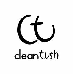 CT CLEANTUSH