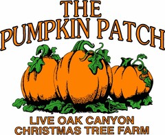 THE PUMPKIN PATCH LIVE OAK CANYON CHRISTMAS TREE FARM