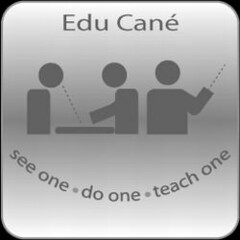 EDU CANÉ SEE ONE · DO ONE · TEACH ONE