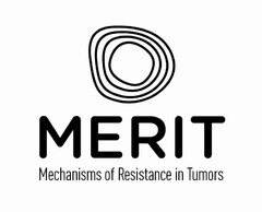 MERIT MECHANISMS OF RESISTANCE IN TUMORS