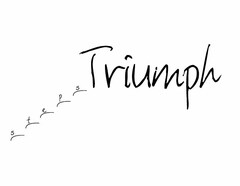 TRIUMPH STEPS