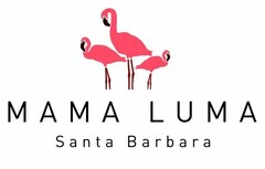 MAMA LUMA SANTA BARBARA