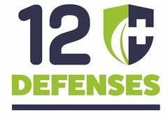 12 DEFENSES