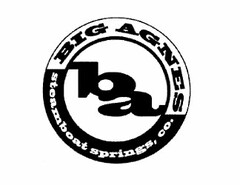 BA BIG AGNES STEAMBOAT SPRINGS, CO.