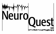 NEURO QUEST LLC