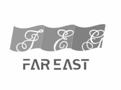 FEG FAR EAST